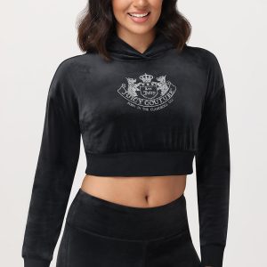 Cropped Scottie Hoodie