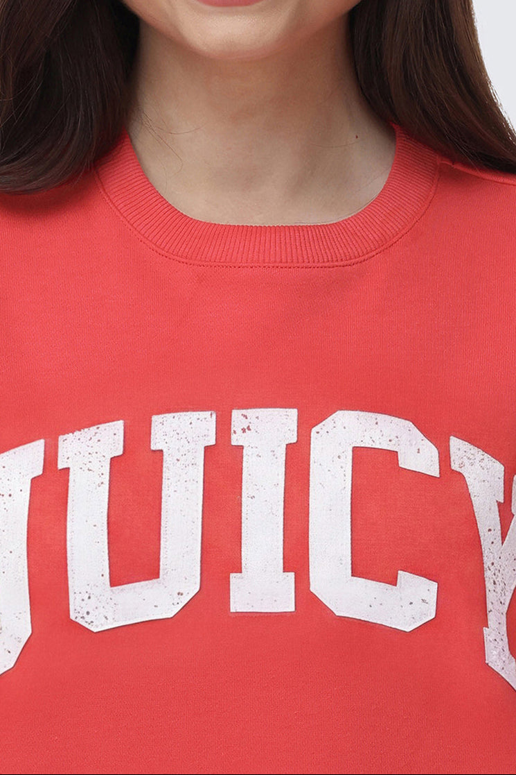 Collegiate Sweatshirt - Image 3